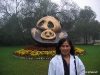 445-Panda Research Center